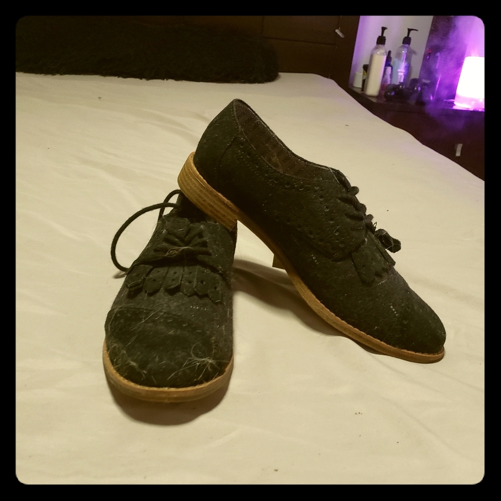 New with Tag Toms Suede Shoes Size 8